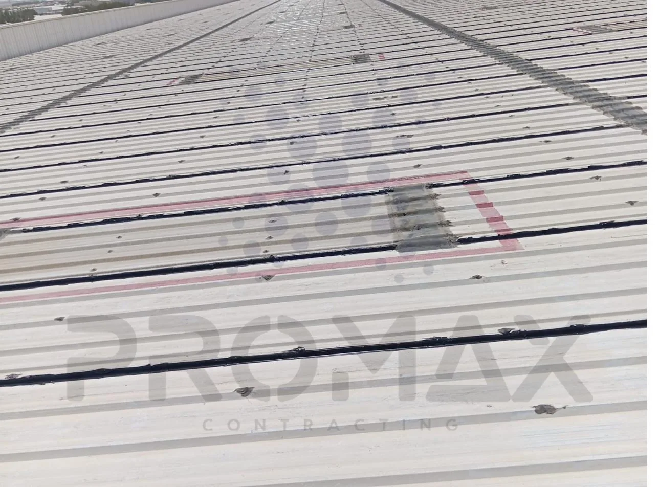 Transmed DIP - ETCE project Dubai